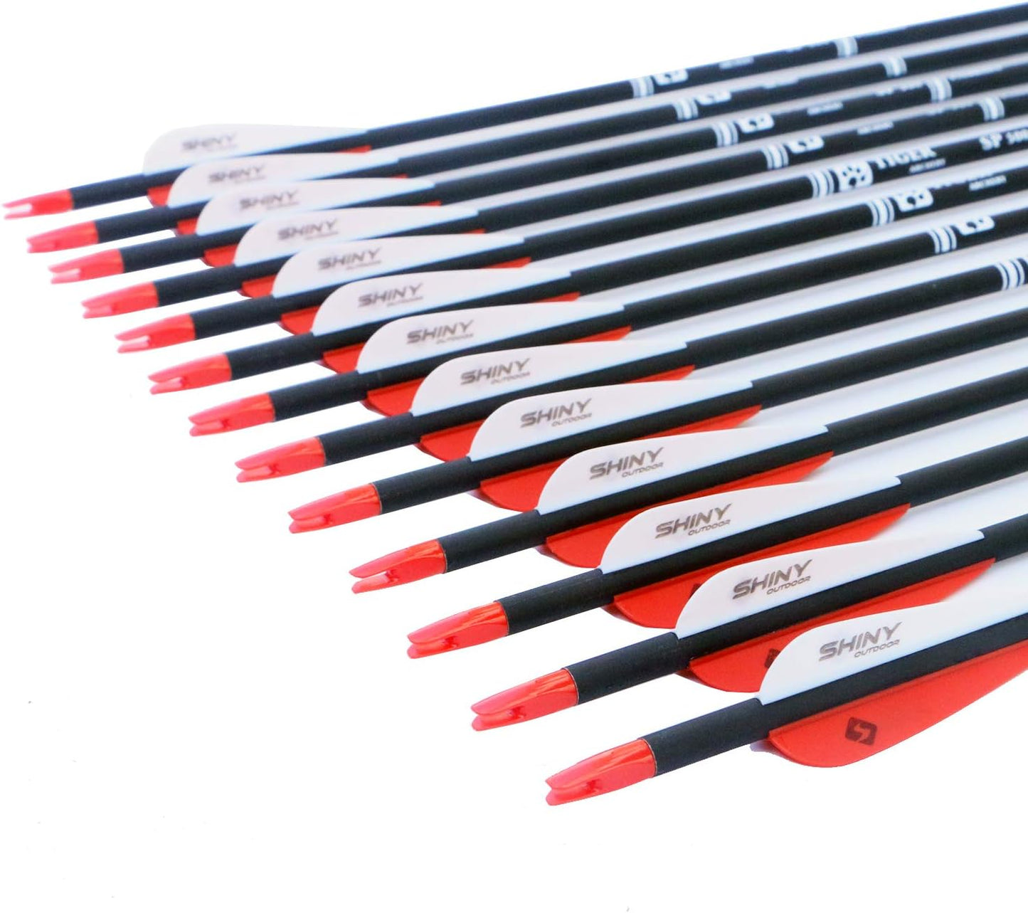 30Inch Carbon Arrow Practice Hunting Arrows with Removable Tips for Compound & Recurve Bow(Pack of 12)