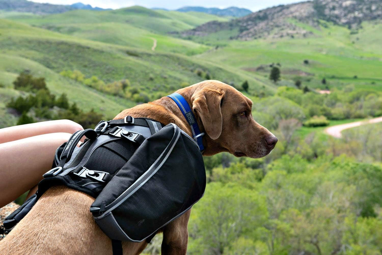 Adventure Pack, Black/Orange, Medium