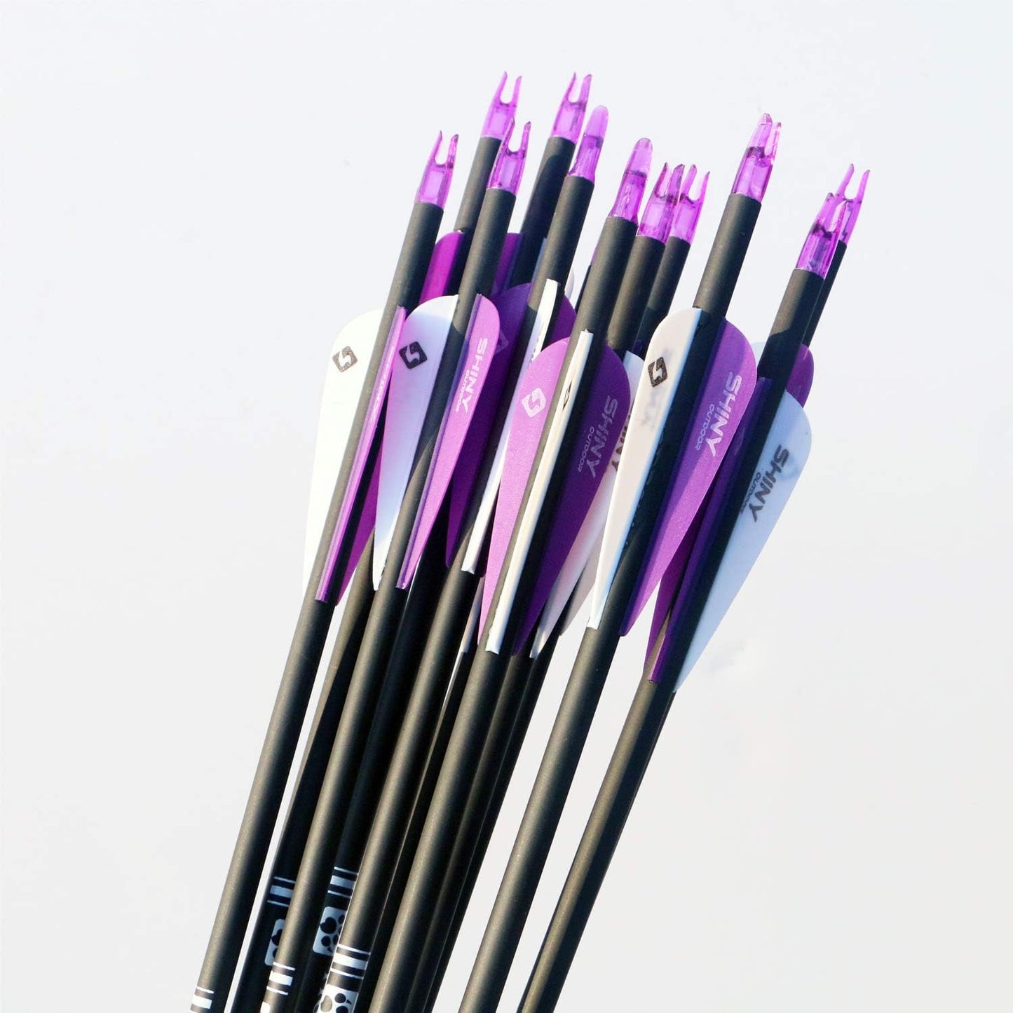 30Inch Carbon Arrow Practice Hunting Arrows with Removable Tips for Compound & Recurve Bow(Pack of 12)