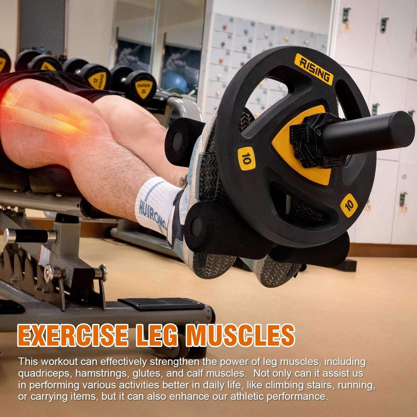 AmazeFan Tib Bar, Tibialis Trainer Leg Workout, Knees Over Toes Tibia Dorsi Calf Machine for Strength Training Calves/Shins/Ankles and Ripping Lower Leg Muscles, Fit 2" Weight Plates and All Shoe Size