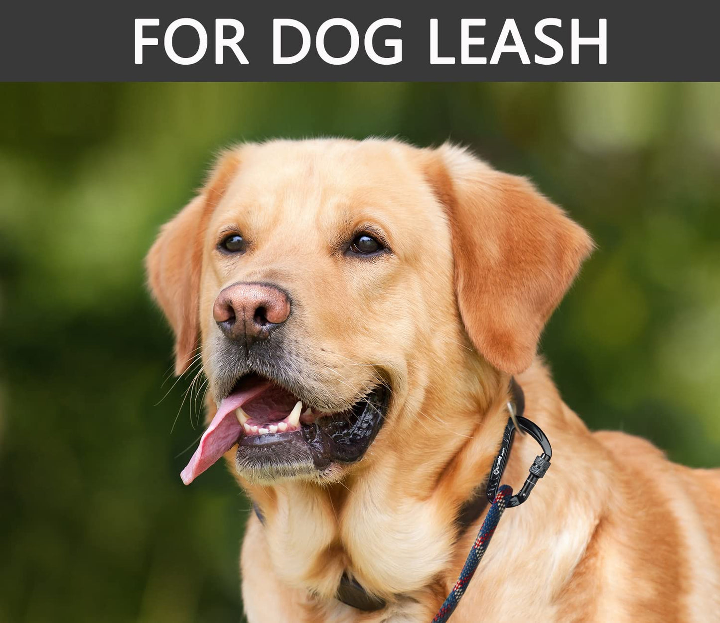 Amzonly 12kN Heavy Duty Carabiner Clip, Screw Locking Carabiner Clips for Securing Pets, Camping, Hiking, Hammock, Dog Leash Harness, Keychains Black, 4Pack