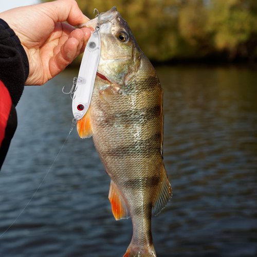 Ghanneey 20PCS Blanks Fishing Lures Blanks Crankbait Kit Unpainted Fishing Baits Fishing Topwater Wobblers Fishing Lure with 3D Fishing Eyes