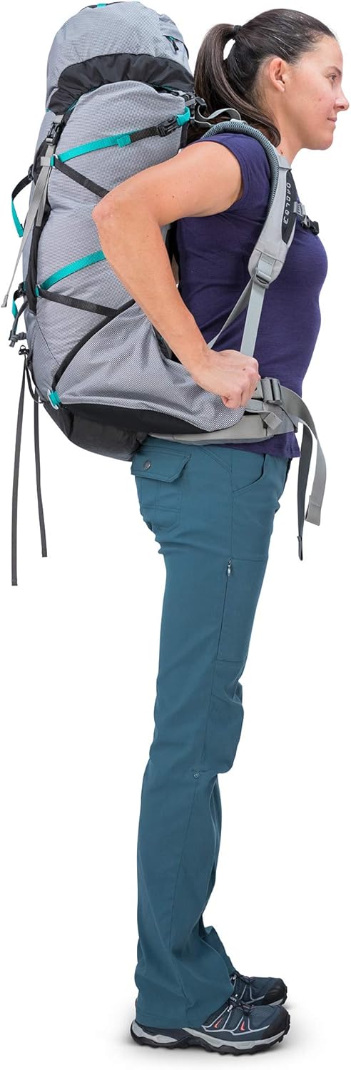Osprey Ariel Pro 65 Women's Backpacking Backpack - Prior Season
