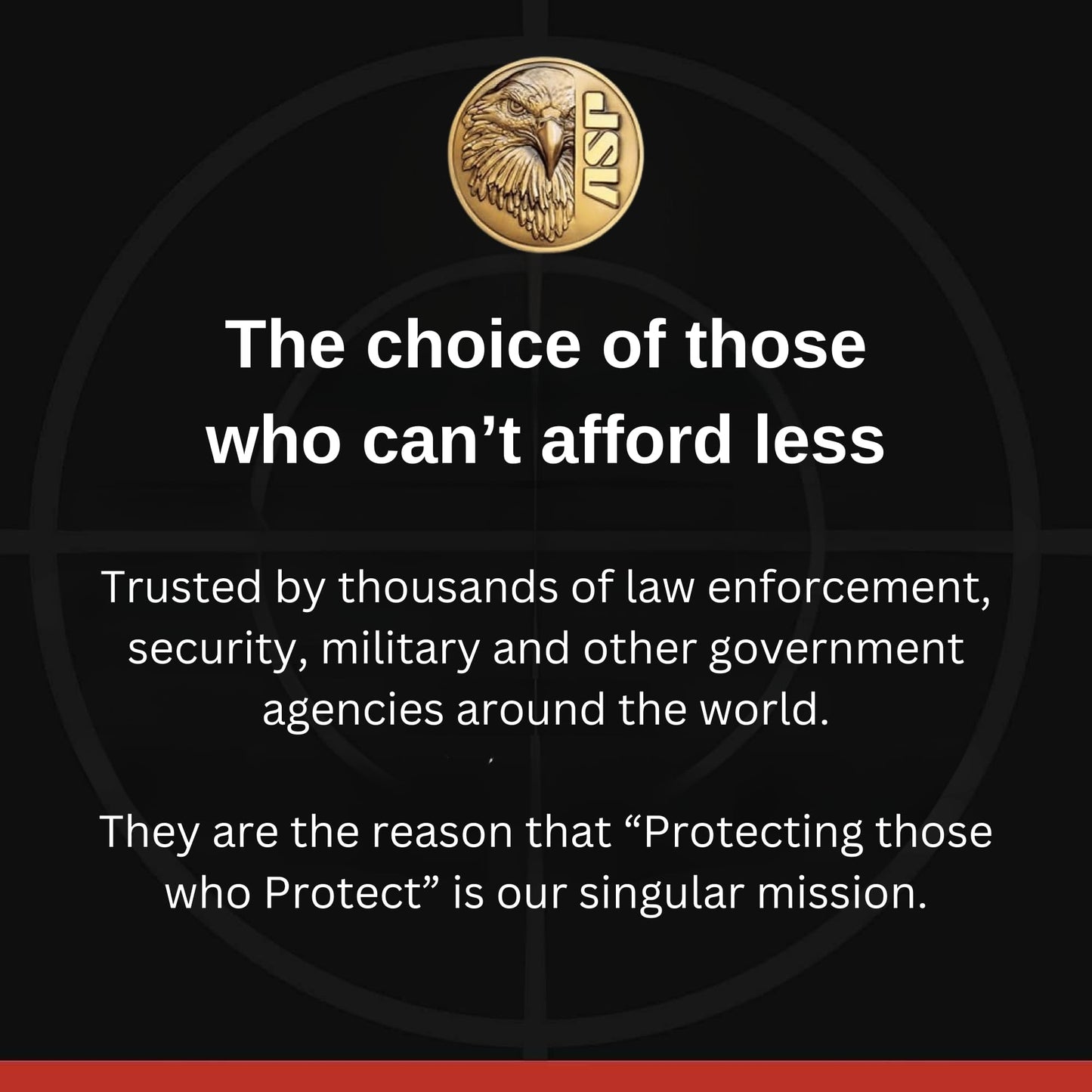 ASP Tri-Fold Restraints, Disposable Handcuffs, Police Gear and Security Guard Flex Cuffs, Law Enforcement Zip Cuffs, Black Pack of 2 with Blue Band