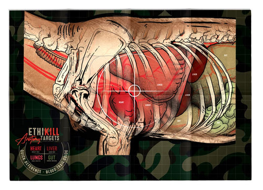 Life Size Deer Vitals 2 Sided Paper Range Target for Archery & Rifle Hunters by EthiKill - Realistic Anatomy Illustration - 19x27 inches (5 Pack)