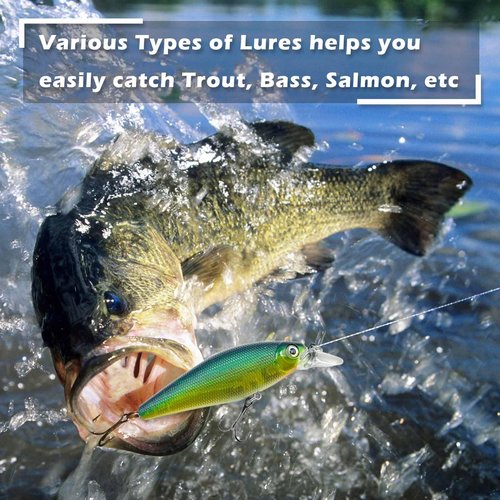 LOOTAERUL 40 Pcs Fishing Bait Lures Kit, Tackle Box with Tackle Included,Minnow, VIB, Pencil, Popper, Crank, Spoons, Weights Other Accessories, Bass Fishing Lure Set for Beginner and Experienced