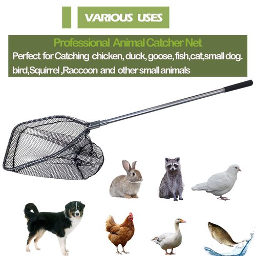 SYFRLLC Catch Pole Net with Telescopic Handle,Animal Catcher Net for Cat,Rabbit,Chicken,Duck,Goose,Fish,Racoon,and Other Poultry Wildlife
