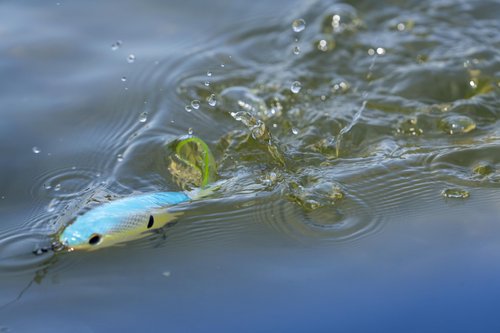Berkley Choppo Fishing Hard Bait
