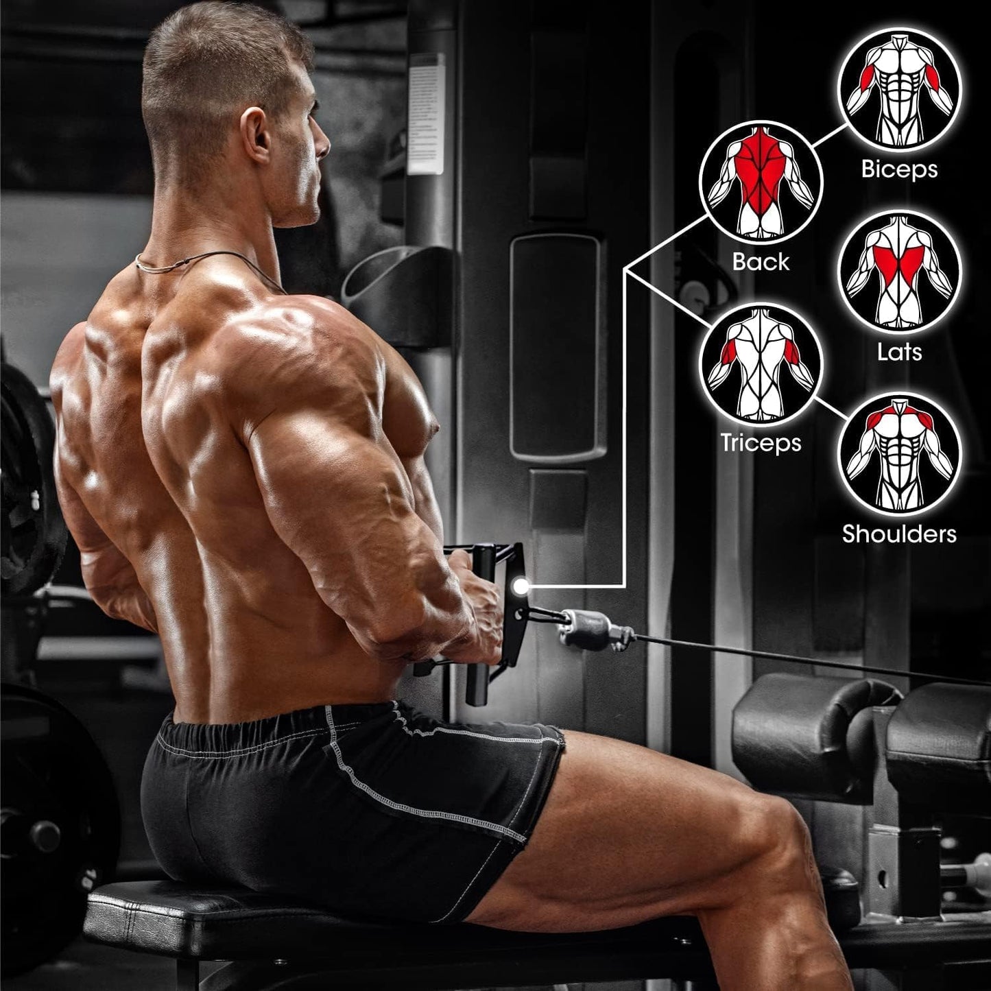 Yes4All Double D Row Handle Cable Attachment for Weight Workout, Cable Machine Accessories for Home Gym, LAT Pull Down V Bar with Capacity Up to 880LBS