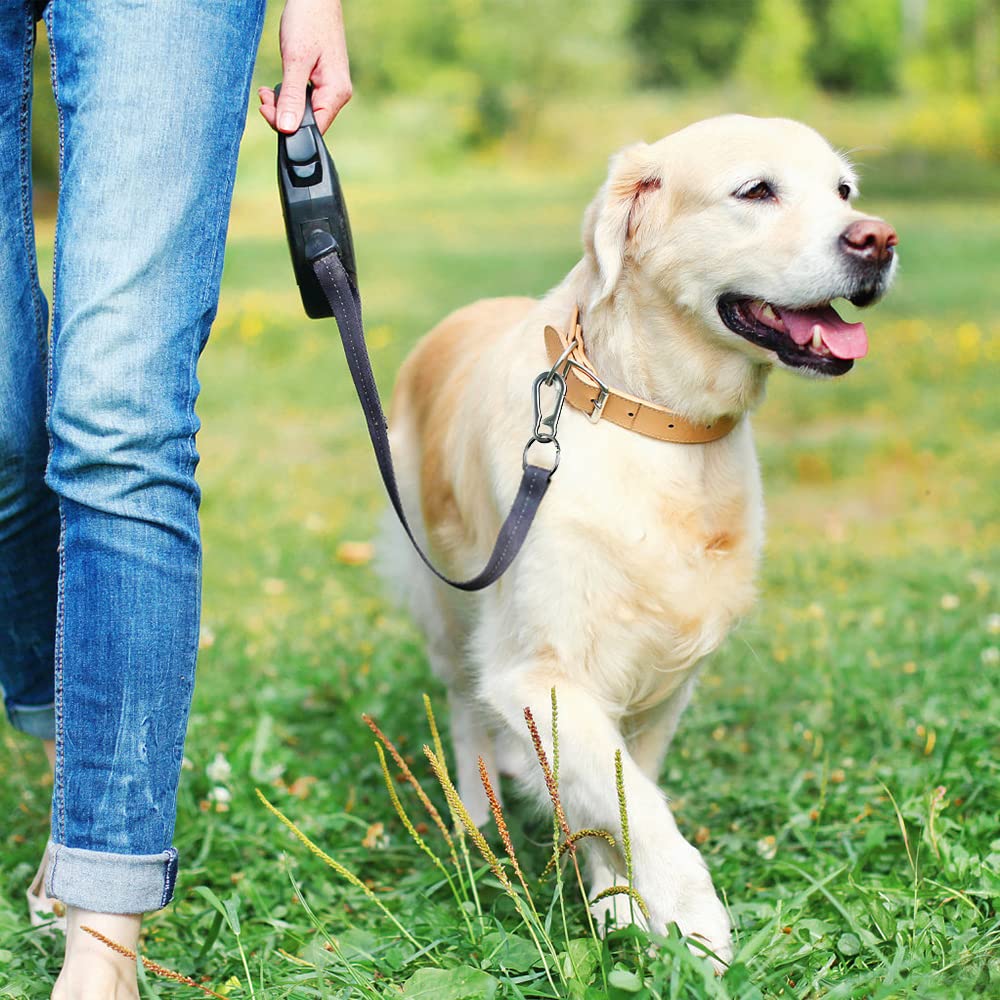 4Pcs Metal Carabiner Clip Keyring Keychain Key Ring Chain Holder for Car Keys/Purse- Black Keychain Hook Organizer