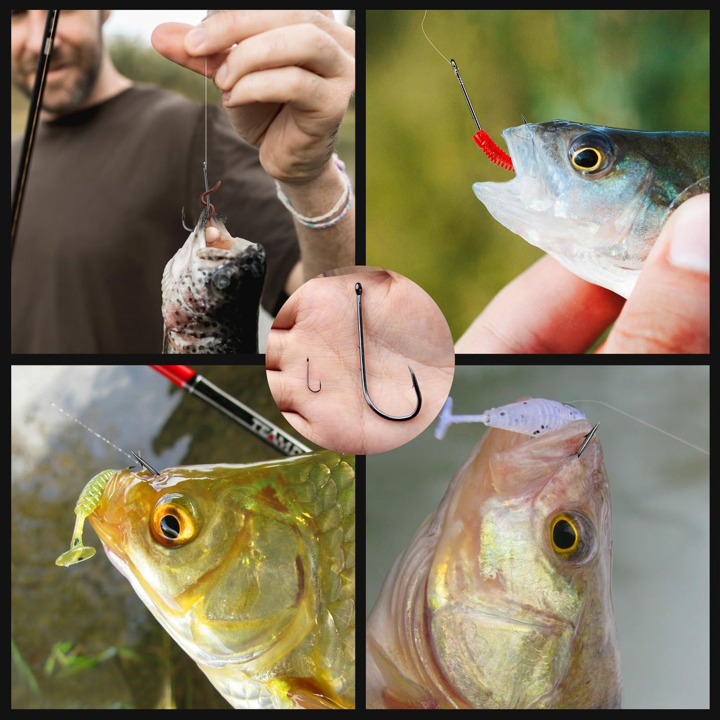 FishTrip Baitholder Hooks Fishing Offset- 100pcs Bait Holder Fish Hook Double Barbed/Long Shank/Closed Eye/Black for Fishing Rigs Freshwater Saltwater 12#