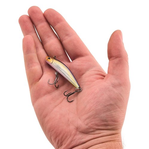 Berkley Finisher Fishing Hard Bait