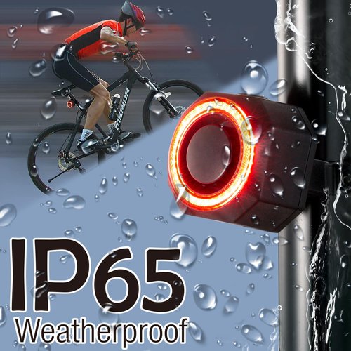 Smart Bike Tail Lights with Alarm, Rechargeable Rear Bicycle Light for Night Riding,Waterproof Brake Light, 110db Wireless Anti Theft Alarm, Long Battery Life E-Bike Accessorie
