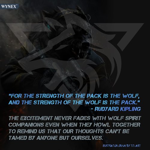 WYNEX Morale Patch of Wolf, Tactical Patch PVC Loop and Hook Patches 3D Morale Applique for Backpacks Caps Vest Tactical Gears -2 Pcs