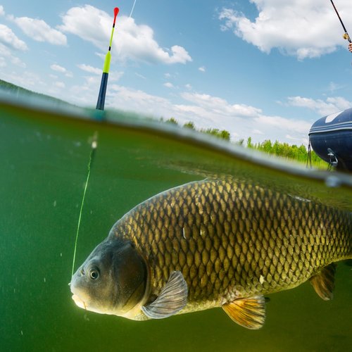 OriGlam 10pcs Fishing Floats and Bobbers, 5 Colors Fishing Floats Fishing Bobber, Fishing Floats Wood Slip Fishing Bobbers Slip Floats Accessories for Catfish Trout Bass