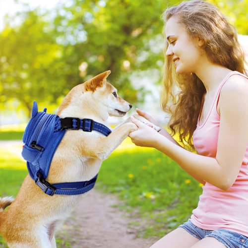 OUOBOB Dog Harness with Backpack, Adjustable Dog Backpack Harness for Small Medium Dogs, No-Pull Breathable Backpacks for Dogs to Wear, for Traveling, Hiking, Camping, Training, Blue M
