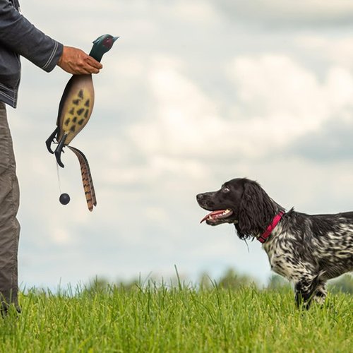 SYWAN Duck Dog Training, Pheasant Dog Training Dummies for Dog Training Hunting Dog Accessories Dogs Training Dummy Bumper Retriever Floating De-ad Bird Fowl Trainer Hunting Retriever (Pheasant)