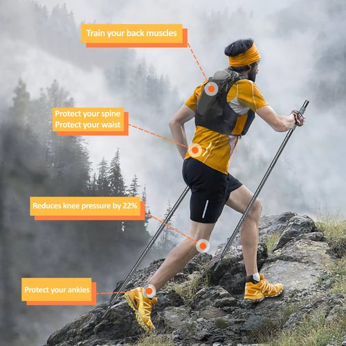 Hiking Stick Collapsible Walking Stick Staff for Hiking Outdoor Trekking Pole with Compasse, Whistle, etc. (1 Stick/ 7 Tubes)