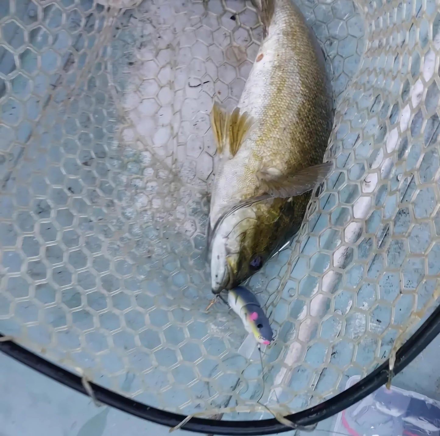 3Pcs Premium Topwater Mouse Fishing Lures for Bass, Bionic Rat Bait,Realistic Bass Attractor - Ideal for Bass Trout, Catfish, Pike, Perch, for Freshwater Saltwater Angling