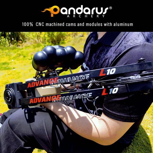 PANDARUS Compound Bow Package for Adults and Teens,19-70 Lbs Draw Weight Adjustable,19"-30" Draw Length,Limbs Made in USA,Archery Bow and Arrow Set,up to 320 fps, Let Off 75%2024 New(BLACKPRO)