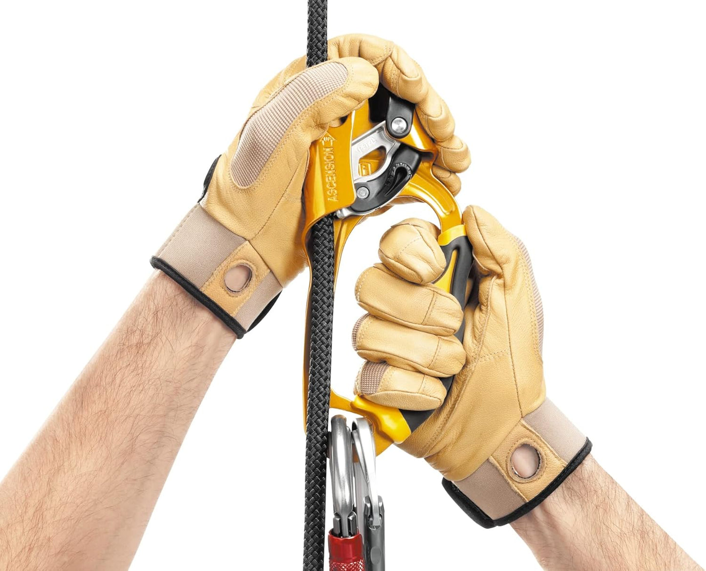 Petzl Ascension Ascender - Ergonomic Handled Rope Ascender for Climbing and Rigging - Right