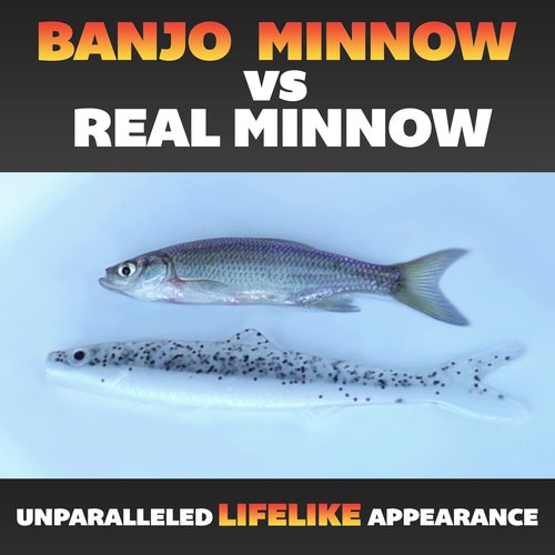 Banjo Minnow Silver Minnows + Lifelike Lure for All Fish + Durable Material That Catches Fish + Freshwater & Saltwater Fishing Lure + Hooks & Anchors