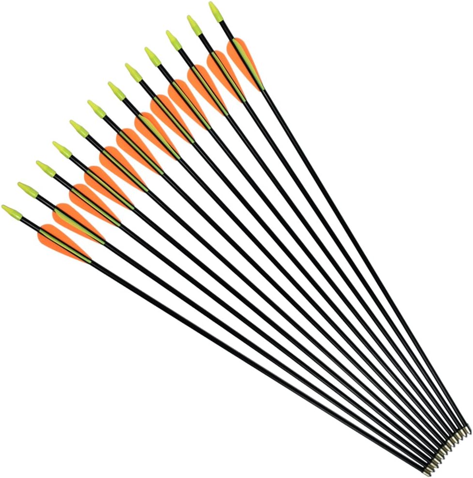 NIKA ARCHERY 24 26 28 30 Fiberglass Arrows for Youth Practise Recurvebow Compound Bow Shooting