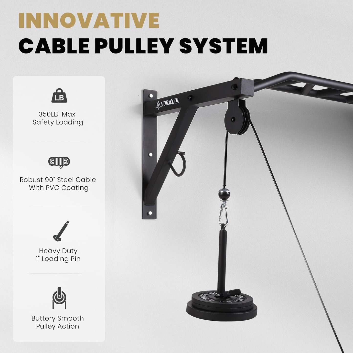 LIONSCOOL Multifunctional Wall Mounted Pull Up Bar with Pulley System (48" APART)