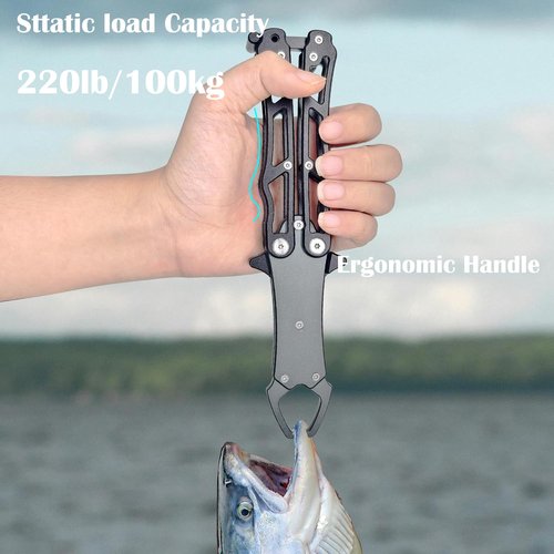 UEDGER Fish Lip Gripper Tools - Foldable Fishing Grabber Tool, Portable Lightweight Aluminium Alloy Fishing Grips Pliers Hook Remover Accessories Gift for Men(Blue-Brown)