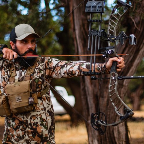 TOPARCHERY Premium 30" Carbon Hunting Arrows with 4" Real Turkey Feathers Fletching and Removable Tips - 500 Spine Practice Target Arrows for Compound & Recurve Bow Long Bow -12Pcs (Brown Shaft)
