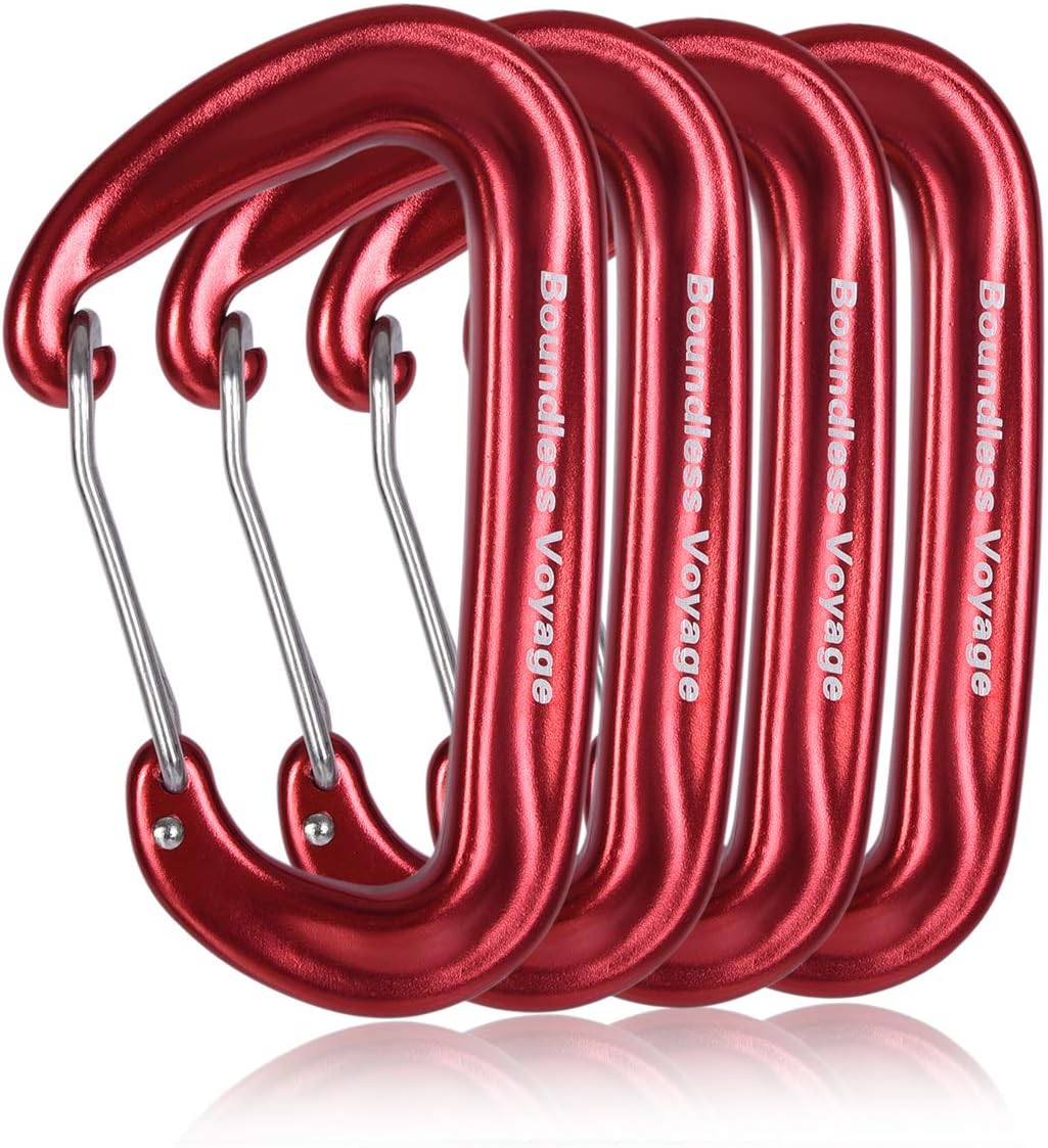 iBasingo Aluminum Alloy Carabiner Clips 12KN Keychain BV1026