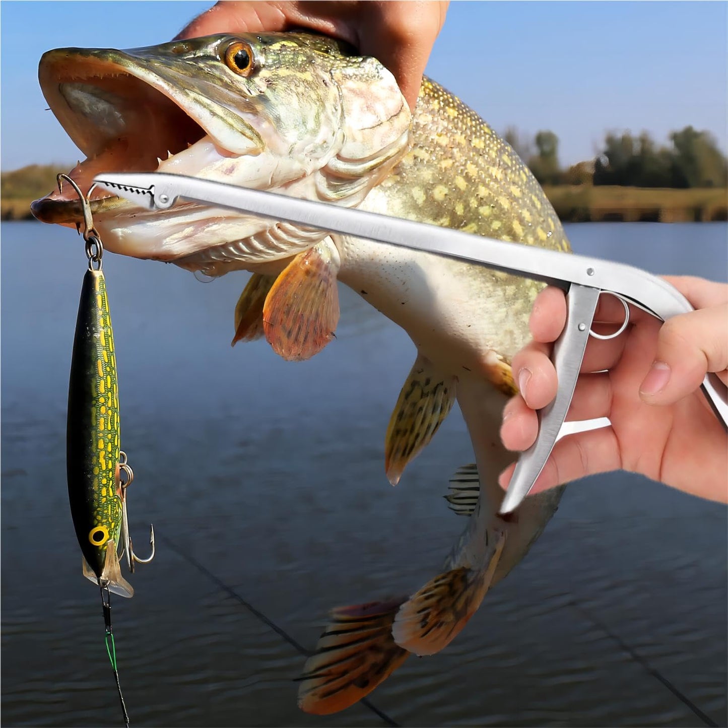 Fish Hook Remover Tool Stainless Steel Fish Dehooker Freshwater Saltwater Fishing Pliers 11-1/2 inch (Hook Remover)