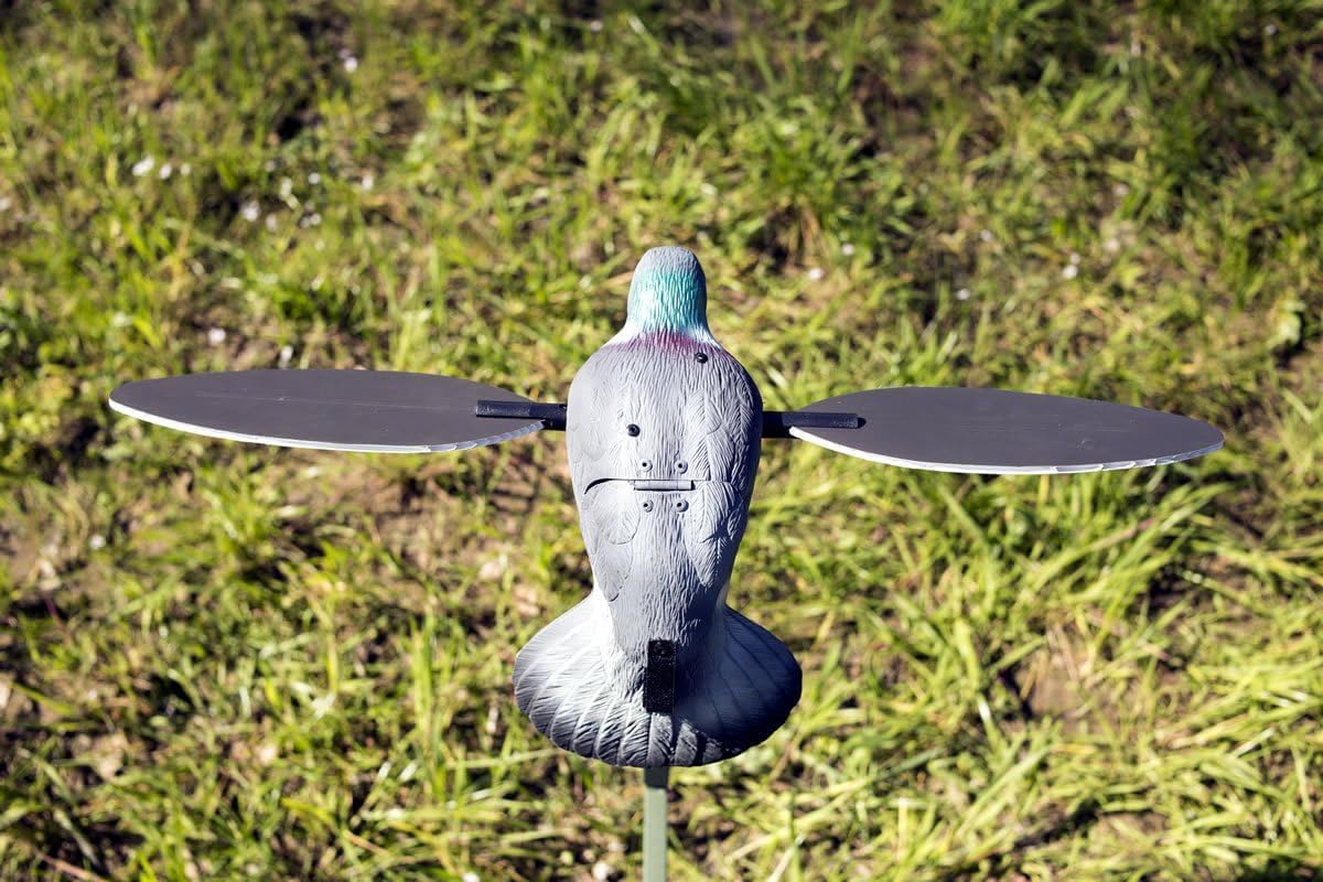 MOJO Outdoors Dove Hunting Decoys and Accessories – (Choose Style)