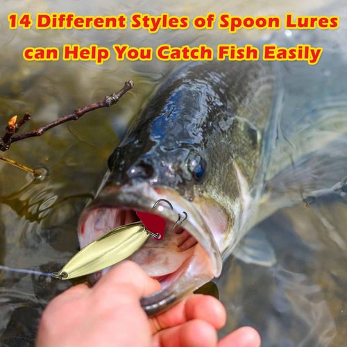 LOOTAERUL 40 Pcs Fishing Bait Lures Kit, Tackle Box with Tackle Included,Minnow, VIB, Pencil, Popper, Crank, Spoons, Weights Other Accessories, Bass Fishing Lure Set for Beginner and Experienced