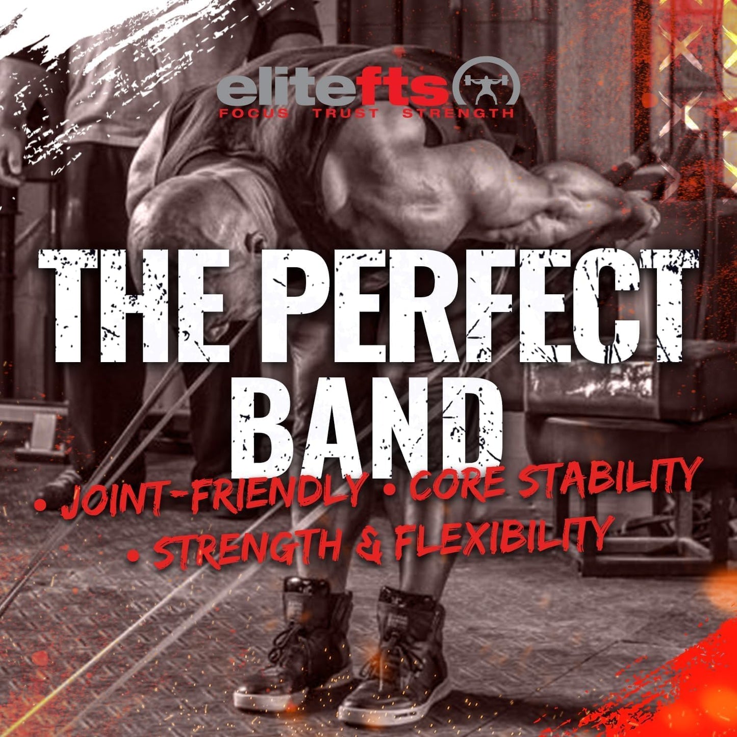 Pro Resistance Band for Core Stability & Flexibility - EliteFTS Portable & Joint-Friendly
