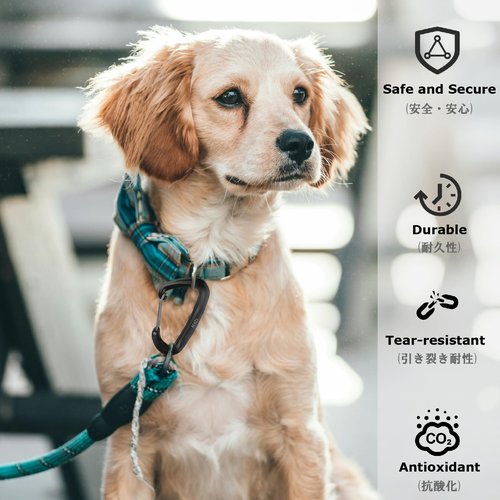 Caribeaner Clips, 12kN Heavy Duty Carabiner, Aluminum D Ring Keychain, Small Carabeaner Accessories for Camping Hiking Backpacking Dog Leash(DarkBlue-4pcs)