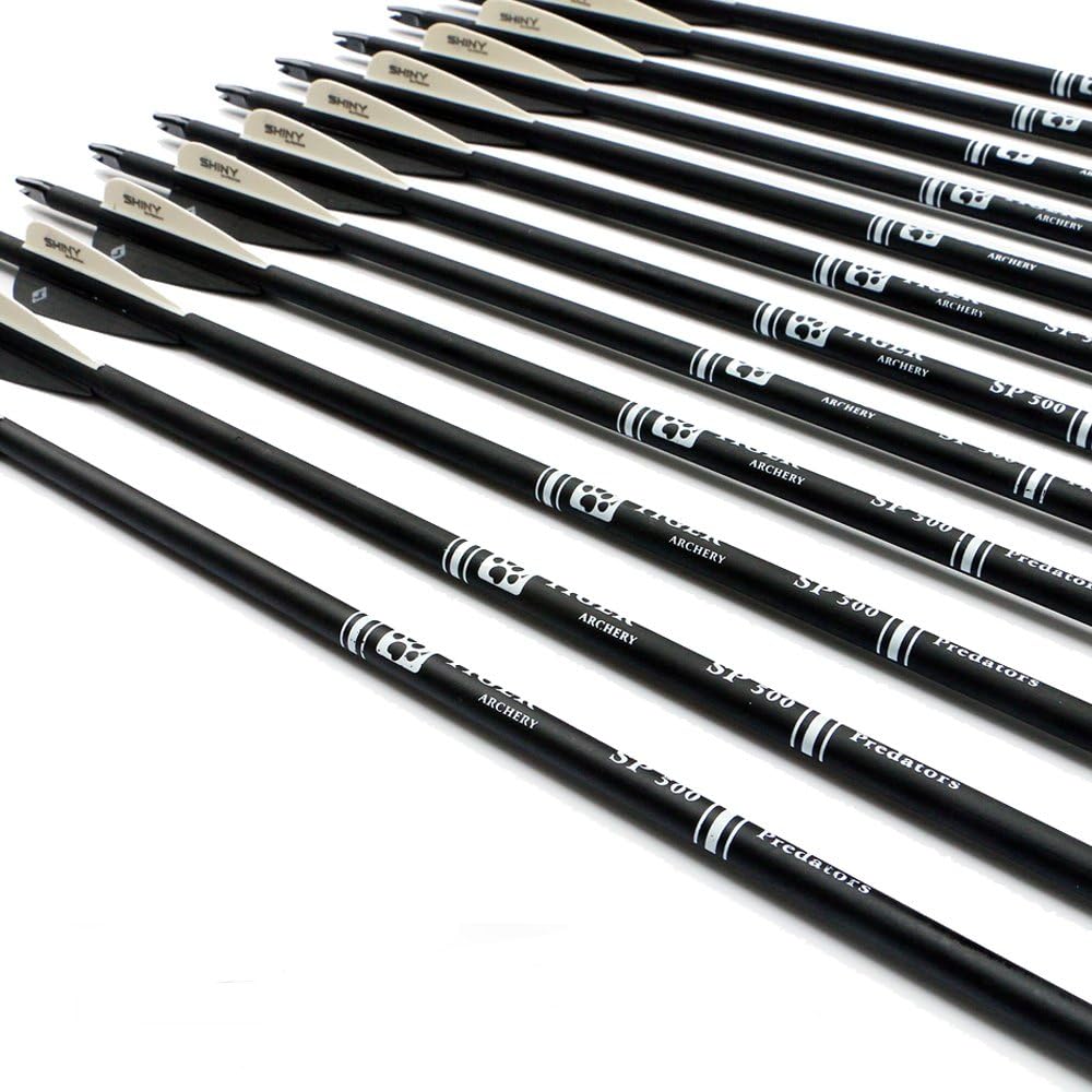 30Inch Carbon Arrow Practice Hunting Arrows with Removable Tips for Compound & Recurve Bow(Pack of 12)