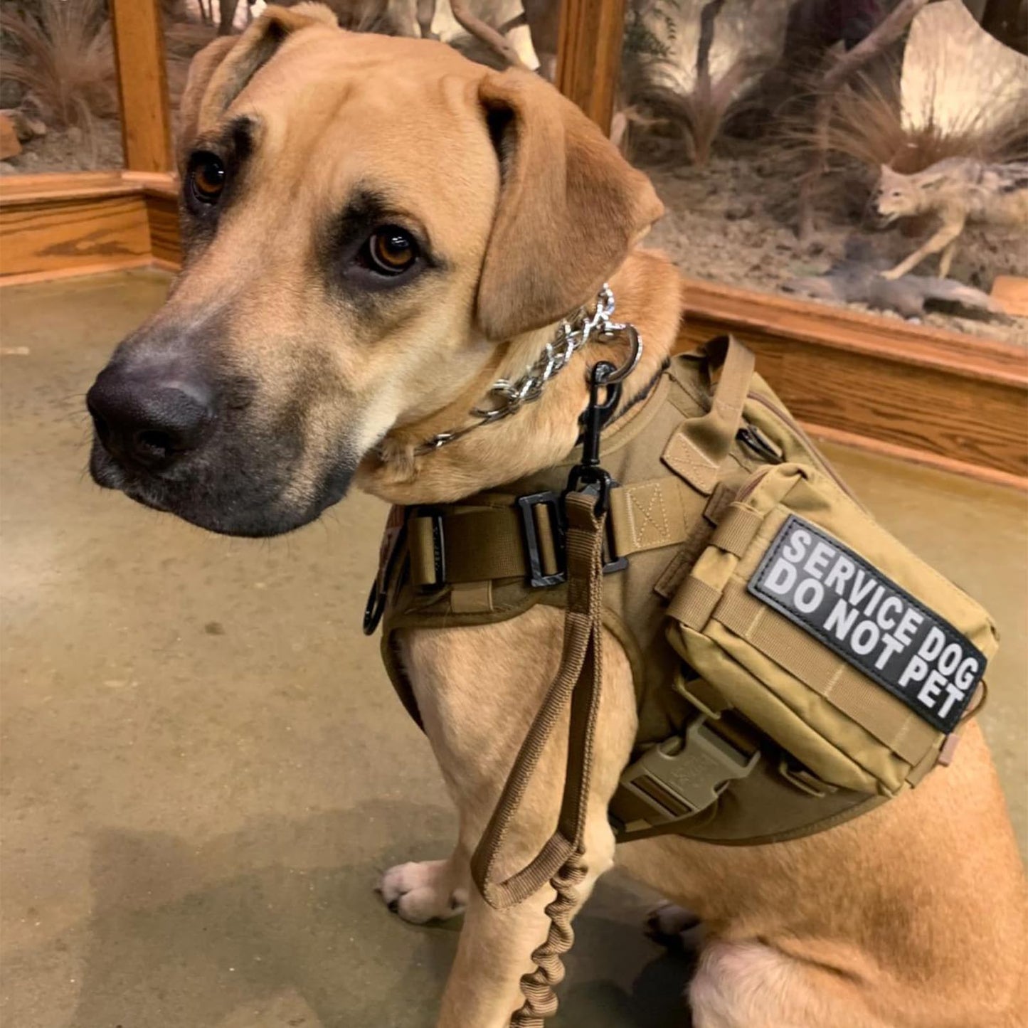 generic Molle Pouch 2PCS Tactical Admin Pouch Utility Gear Tool Belt Pouch EDC Tool Bag Service Dog Tactical Vest Pouch.(Coyote Brown)