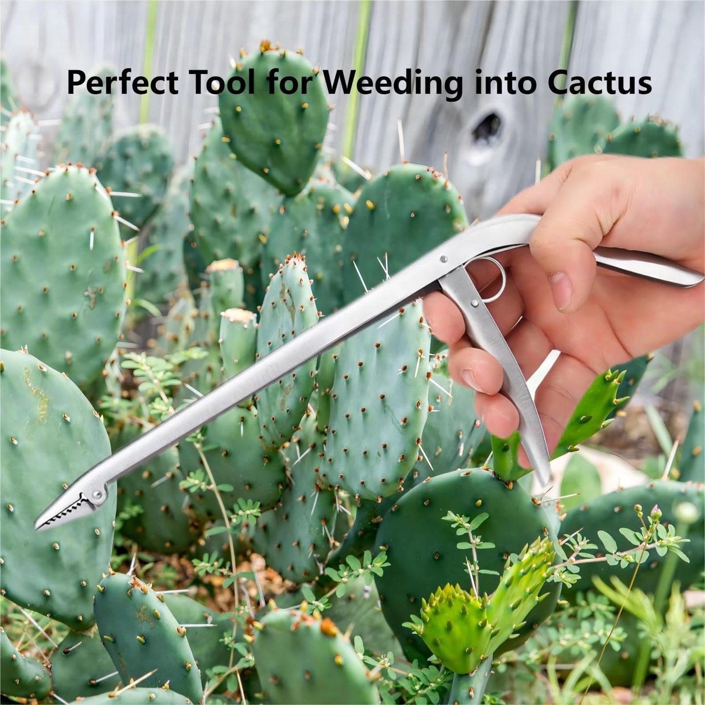 Fish Hook Remover Tool Stainless Steel Fish Dehooker Freshwater Saltwater Fishing Pliers 11-1/2 inch (Hook Remover)