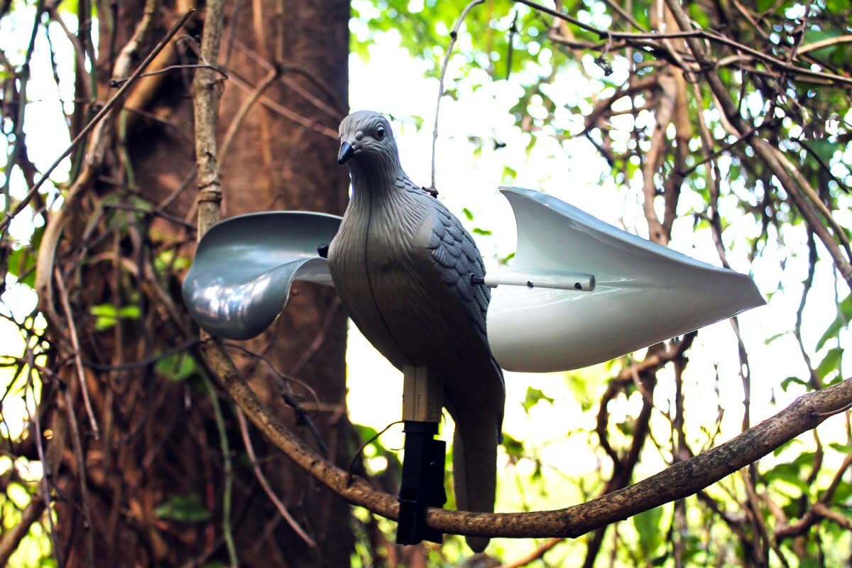 MOJO Outdoors Dove Hunting Decoys and Accessories – (Choose Style)