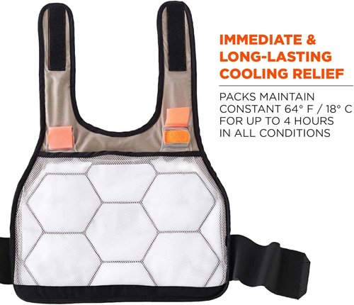 Ergodyne unisex adult + Premium FR Phase Change Cooling Vest Packs, Orange, Small-Medium US