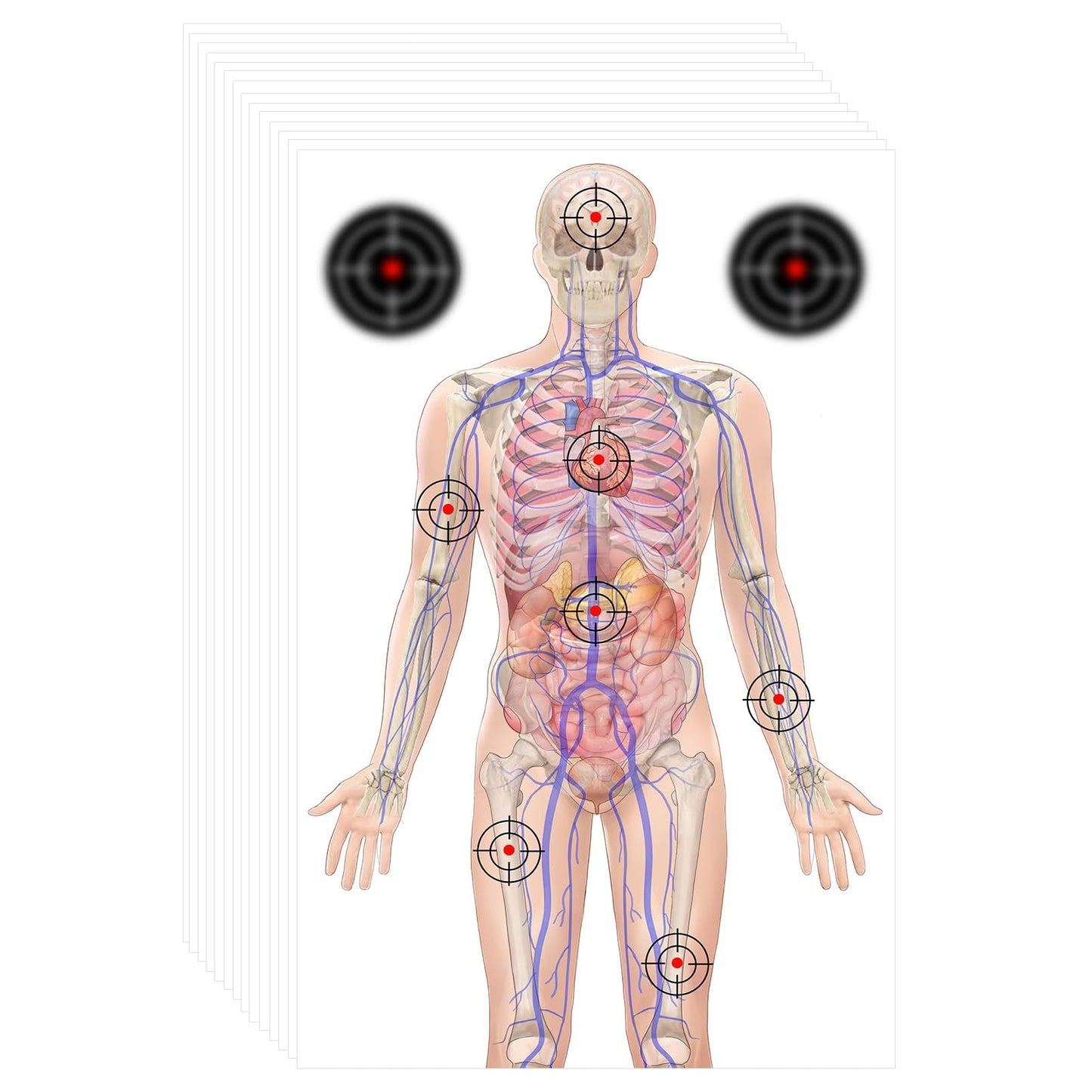 50 PCS 23 x 35’’ Silhouette Paper Targets Human Silhouette Target Anatomical Targets Medically Designed Targets Life Size Human Paper Targets Range Anatomical Target for Practice