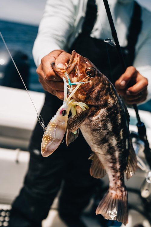 Nomad Design Squidtrex Fishing Lure with Patented Technology Vibration Design - TPE Soft Plastic, BKK Assist Hooks, Squid Lure - 150 Vibe 6" - 4 3/4oz - Brown Speckle