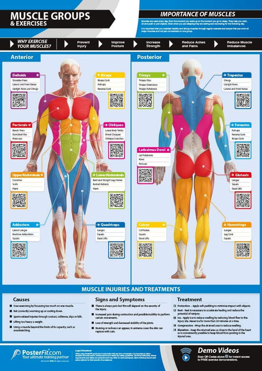 Posterfit Training Zones & Thresholds Poster - EXTRA LARGE - 33 x 23.5 - Laminated - Home & Gym Poster - Includes Online Video Training Support - Exercise Charts