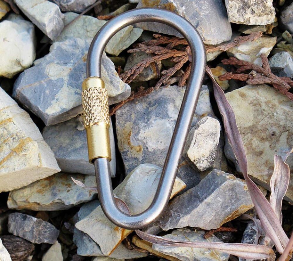 5pcs MINI Titanium Locking Carabiner, Perfect D-Ring for Outdoor and Indoor Use