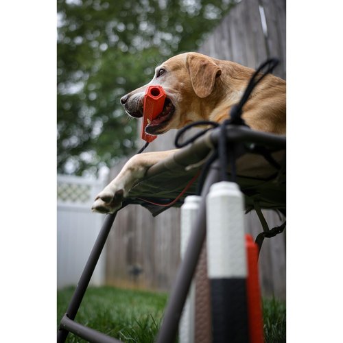 Momarsh Floating Dog Training Bumper, Blind PRO-Pack, Orange, Medium, 3-Pack