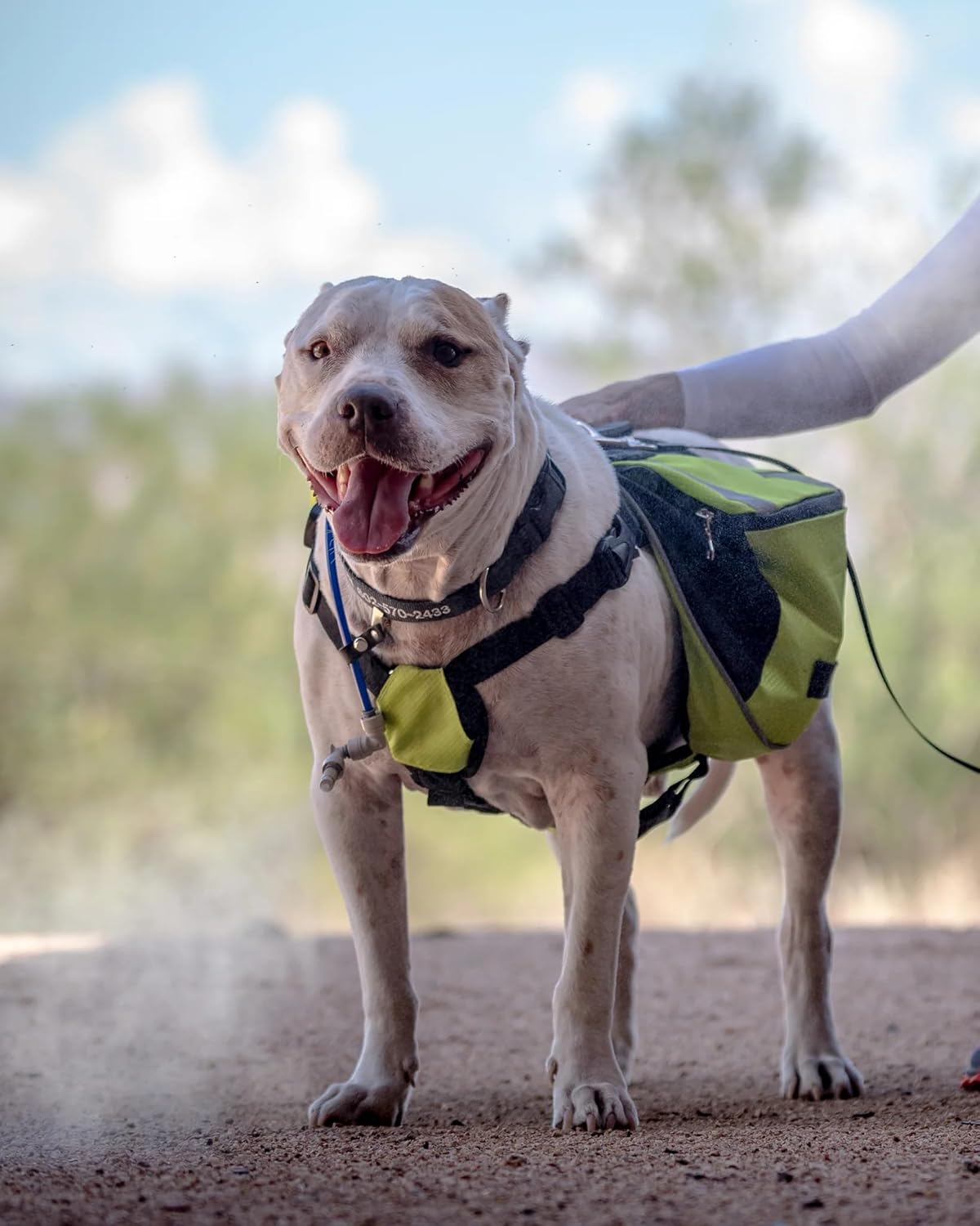 ExtremeMIST Backpack Misting System Retrofit Kit - Convert Your Hydration Backpack to Misting & Drinking Backpack | Includes Pump, Nozzle, Remote, & Rechargeable Battery - Cools the air up to 30°F