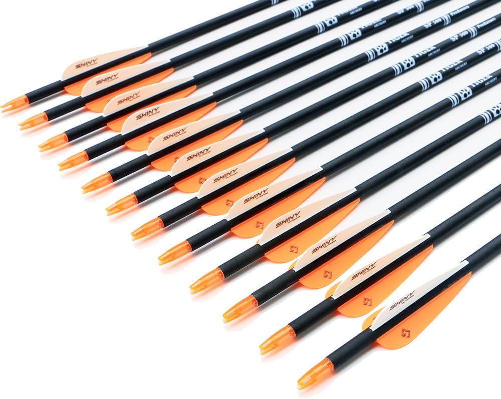 30Inch Carbon Arrow Practice Hunting Arrows with Removable Tips for Compound & Recurve Bow(Pack of 12)