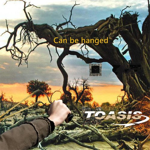 TOASIS Slingshot Target Practice Catch Box Camouflage Color Dimension 30cm x 30cm x 30cm