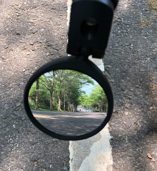 Hafny Replaceable Bar End Bike Mirror (Automotive Grade Glass Lens)
